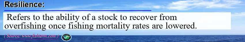 Image: Definition of resilience