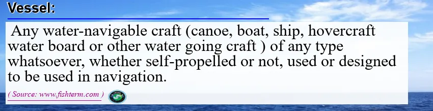 vessel