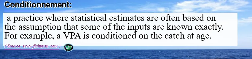 Image: Definition of conditionnement