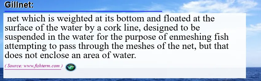 Image: Definition of gillnet