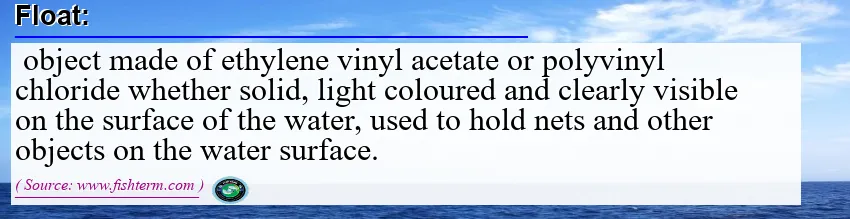 Image: Definition of float