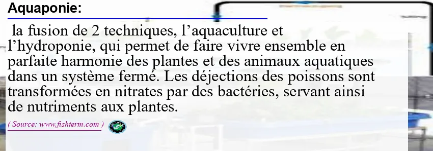 Image: Definition of aquaponie