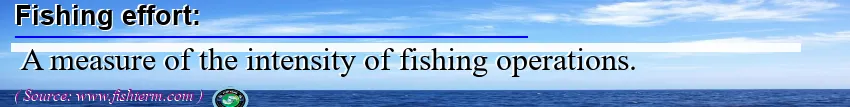 Image: Definition of fishing effort