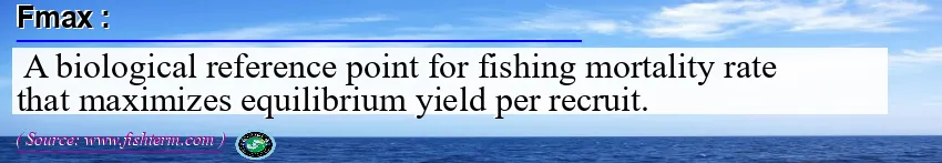 Image: Definition of fmax 