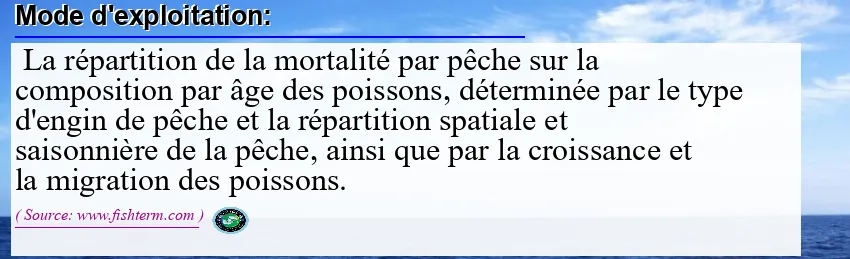 Image: Definition of mode d'exploitation