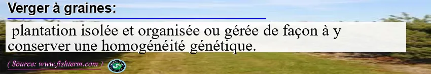Image: Definition of verger à graines