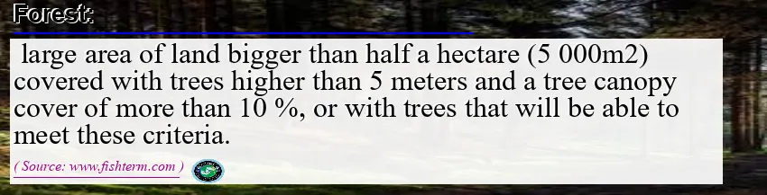 Image: Definition of forest