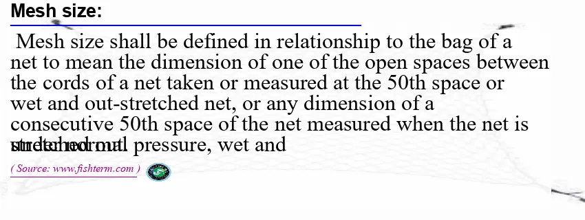 Image: Definition of mesh size