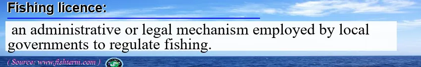 fishing licence fishing licence