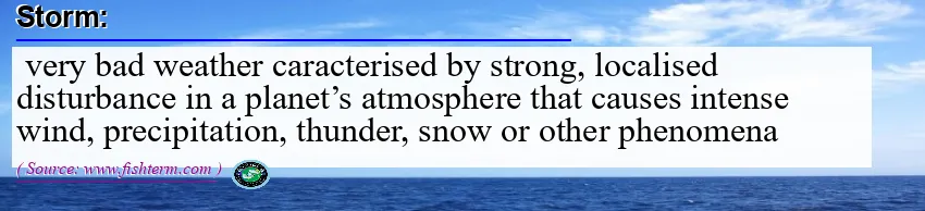 Image: Definition of storm  Image: Definition of storm