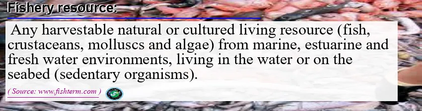 Image: Definition of fishery resource