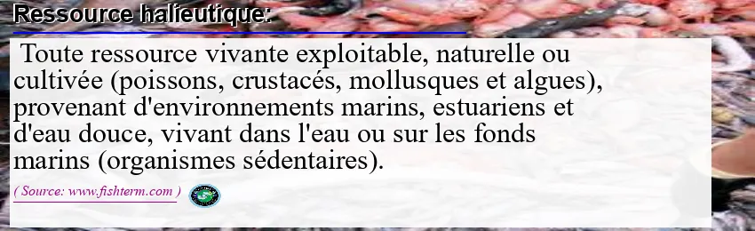 Image: Definition of ressource halieutique  Image: Definition of ressource halieutique
