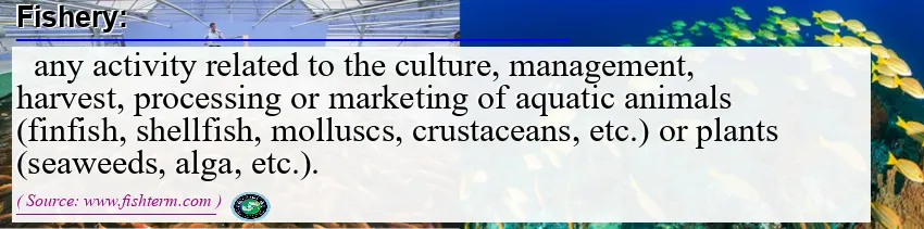 Image: Definition of fishery Image: Definition of fishery