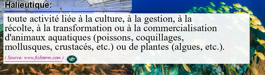 Image: Definition of halieutique