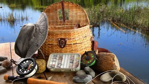 Basket Basket