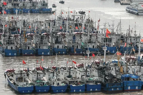 Fishing fleet Fishing fleet