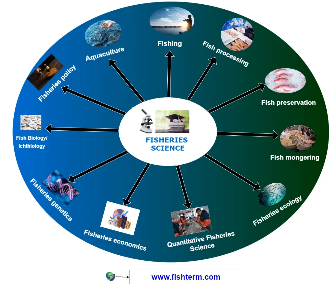 fisheries science